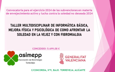 subvención dentro de la Convocatoria 2024 en materia de envejecimiento activo y lucha contra la soledad no deseada